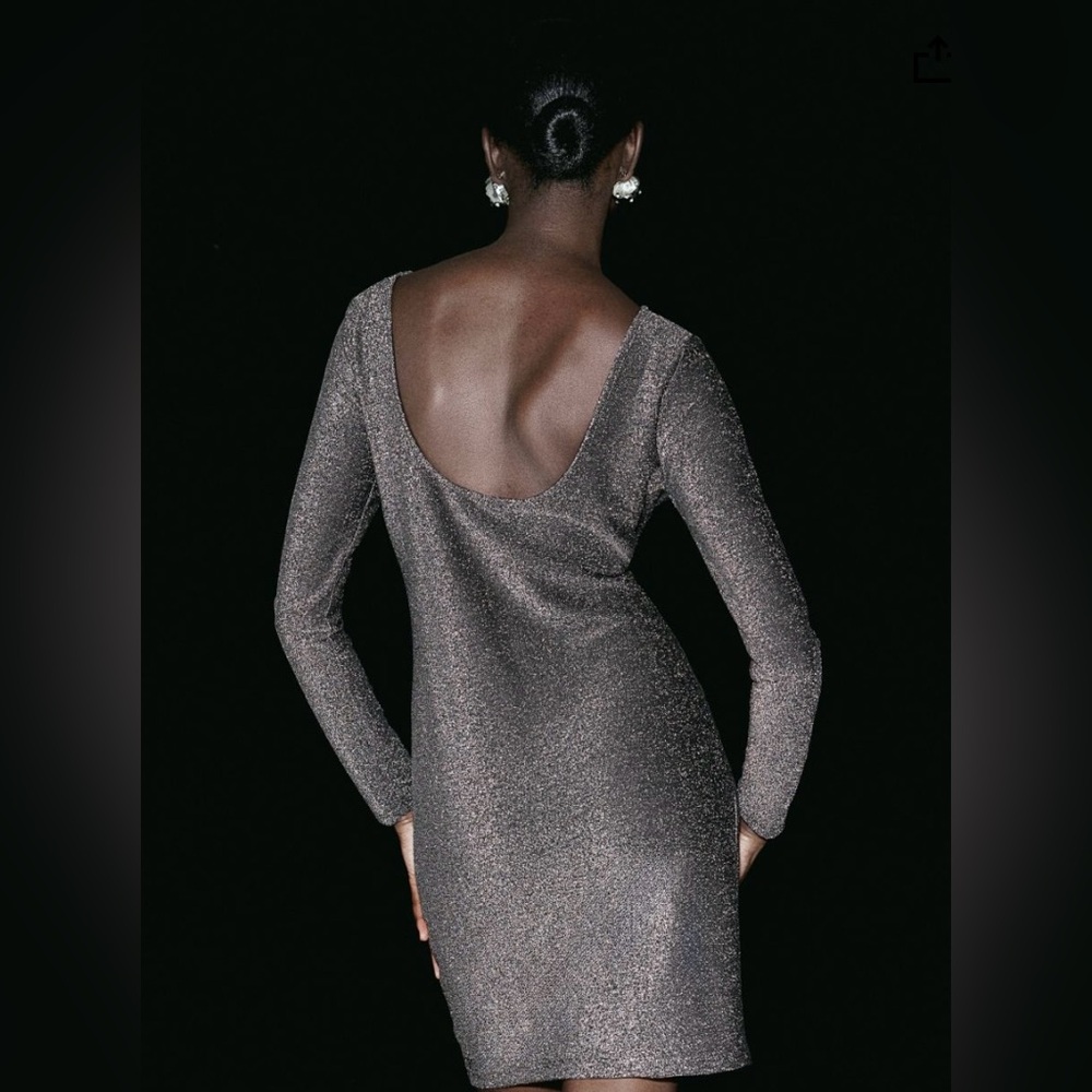 🟥 S A L E 🟥

Boat neck Long-Sleeve glittery Dress